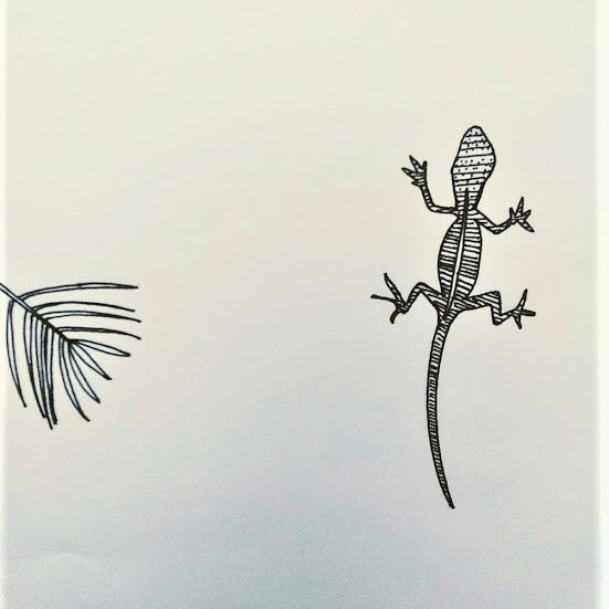 Miami Short Story Fiction Writer New Fiction